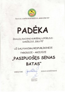 IMG-page-001