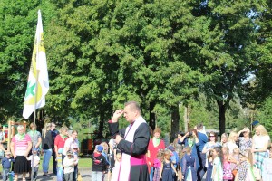 Picture 258