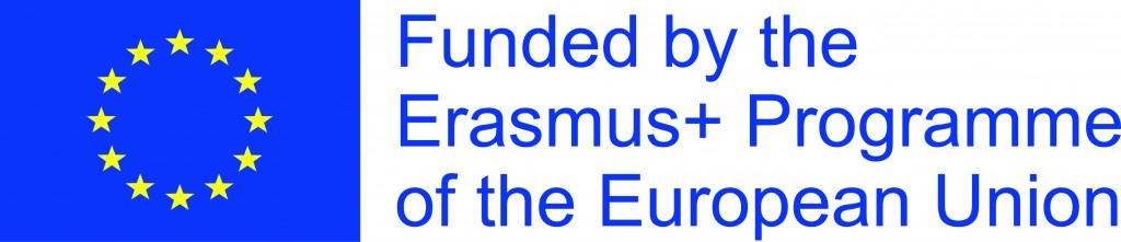 17 priedas. Logotipas_EU veliava_funded