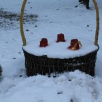 IMG_2670