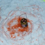 IMG_2693