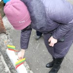 IMG_8330