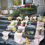 IMG_20181012_104135
