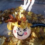 IMG_20181012_110736